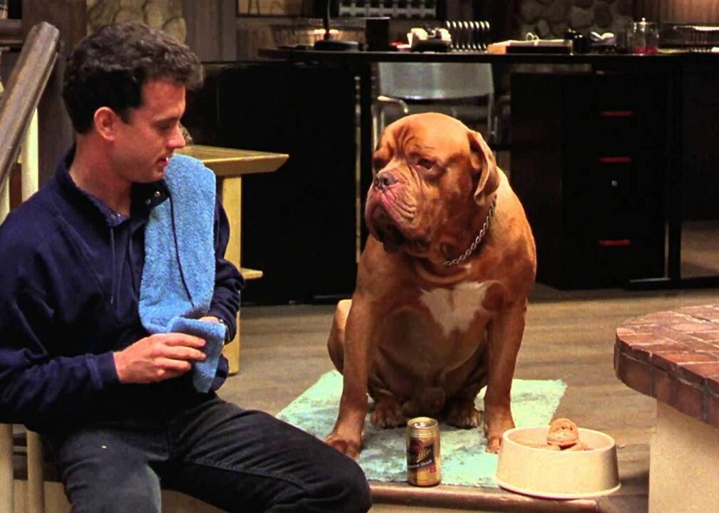 #49. Turner & Hooch (1989)